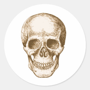 Skull Face Sepia Classic Round Sticker