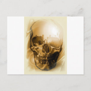 Skull Fantasy Art Postcard