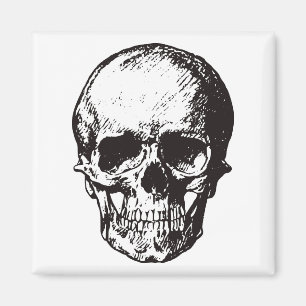 Skull Fantasy Art Rock Punk Heavy Metal Magnet