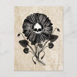 Skull Flower Postcard