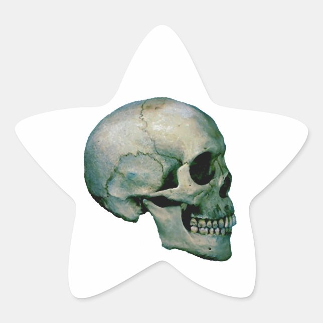 Skull From Profile Star Sticker (Front)