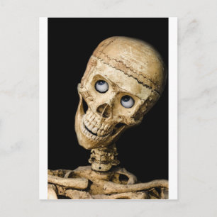 skull halloween people mask dummy scary holidays holiday postcard