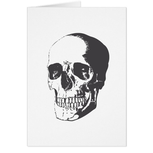 Skull illustration (Front)