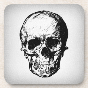 Skull Illustration Vintage Art Coaster