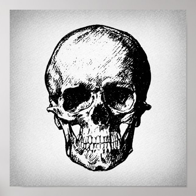 Skull Illustration Vintage Art Poster (Front)