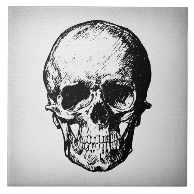Skull Illustration Vintage Art Tile (Front)