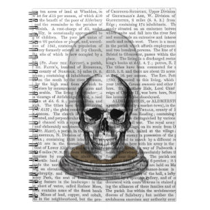 Skull In Bell Jar 2 Notebook