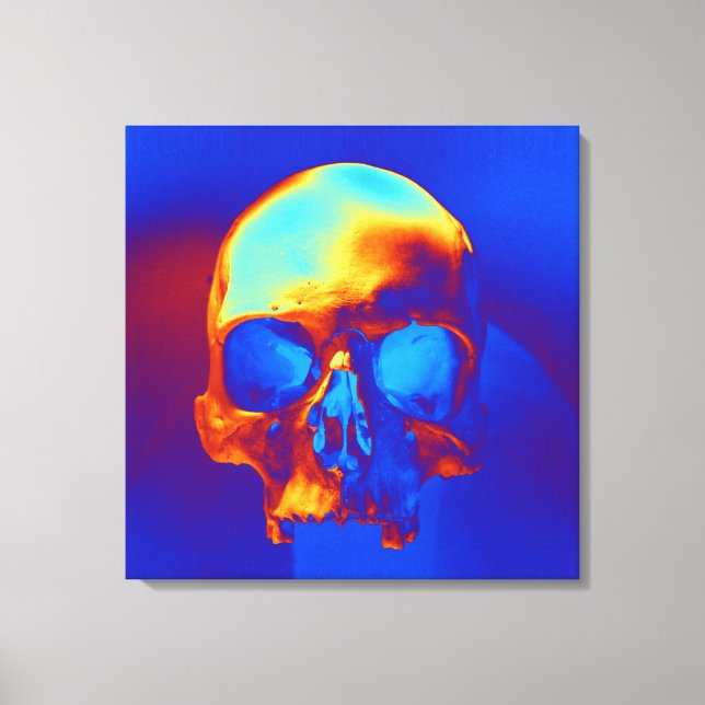 Skull in Blue and Gold Canvas Print (Front)