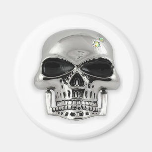 skull magnet