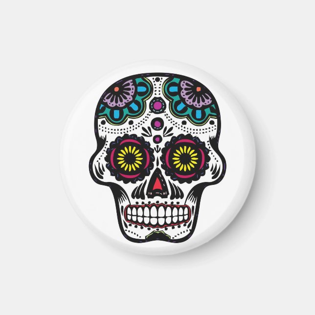 Skull/Magnet Magnet (Front)