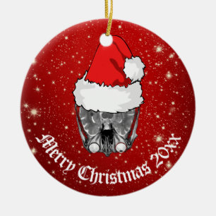 Skull MRI Santa hat "Christmas 20xx"   Ceramic Tree Decoration