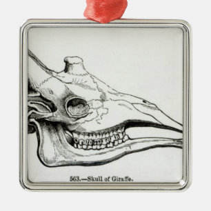Skull of a Giraffe Metal Tree Decoration