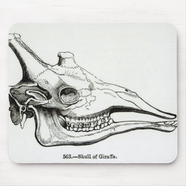 Skull of a Giraffe Mouse Mat (Front)