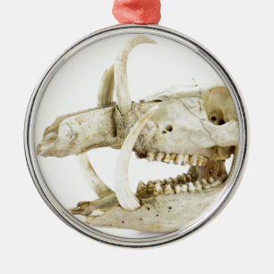 Skull of wild boar metal tree decoration