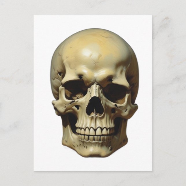 Skull Oil Painting Style Painting Illustration Postcard (Front)
