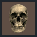 Skull Pop Art Sepia Retro Poster<br><div class="desc">Fantasy Art Skull Skeleton - Blue & Purple Tones Heavy Metal Punk Rock College Pop Art Image</div>