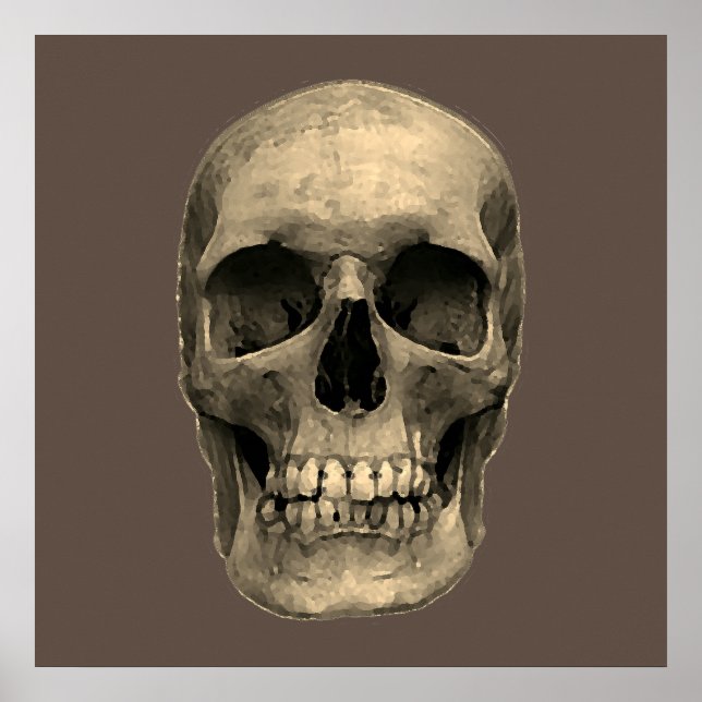 Skull Pop Art Sepia Retro Poster (Front)