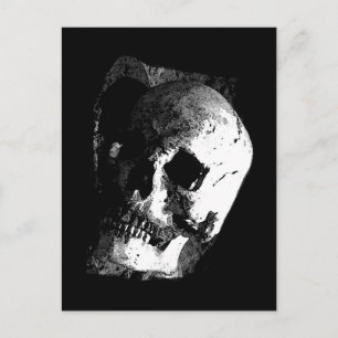 Skull Postcard