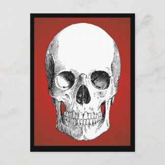 Skull Postcard (Red)