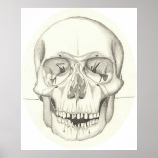Skull print