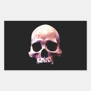 Skull Rectangular Sticker