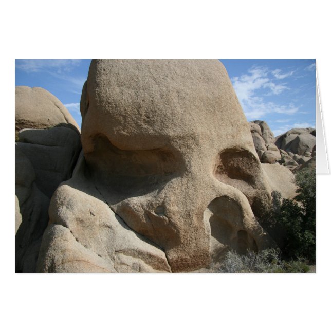 Skull Rock (Front Horizontal)