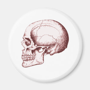 Skull Sid eRed Magnet