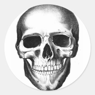 Skull Skeleton Head Scary Creepy Halloween Classic Round Sticker