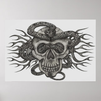 skull & snake poster