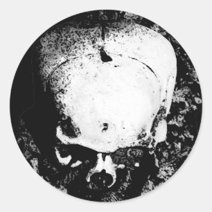 Skull Sticker