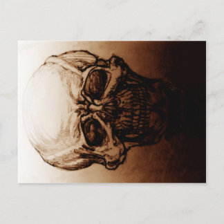 Skull Study Postcard