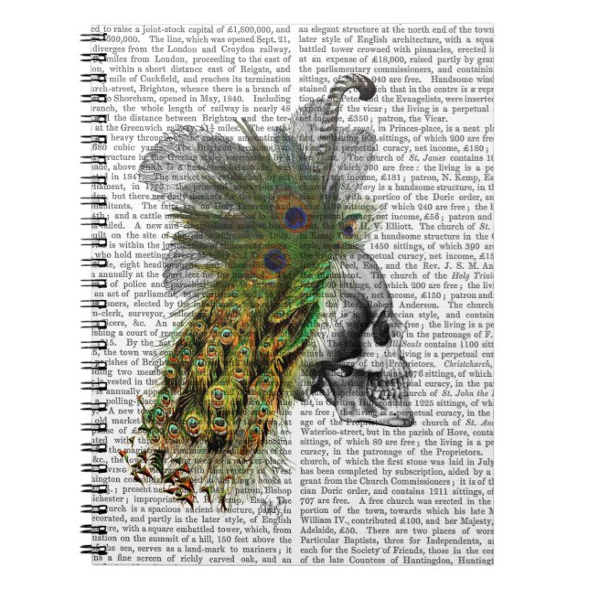 Skull With Feather Headress Notebook (Front)