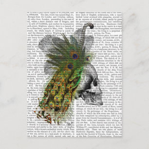 Skull With Feather Headress Postcard