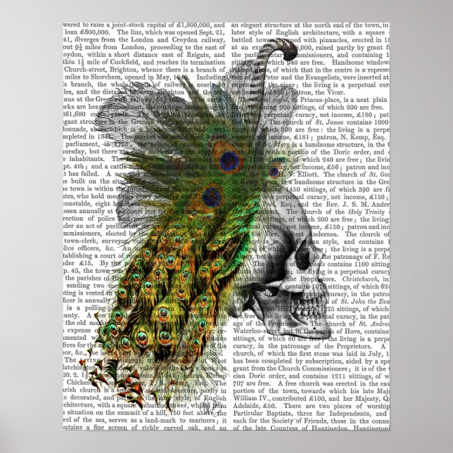 Skull With Feather Headress Poster (Front)