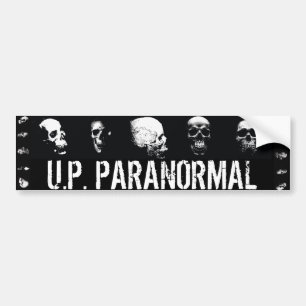 Skulls - Bumper Sticker