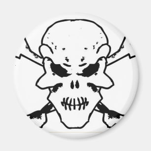 skulls magnet