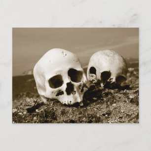 Skulls on the Punuk Islands shore, Bering Sea Postcard