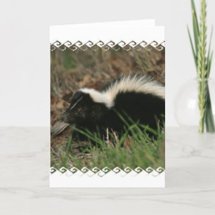 Skunk Behaviour  Greeting Card