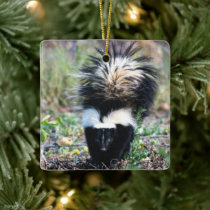 Skunk Black and White Ceramic Ornament