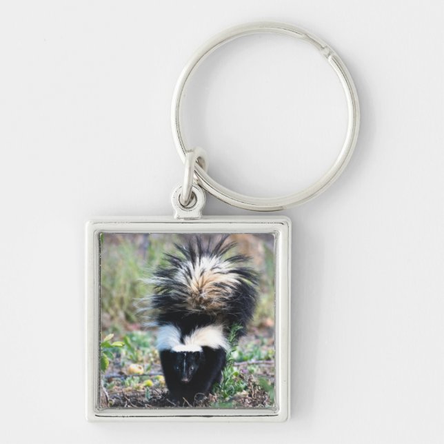 Skunk Black and White Key Ring (Front)