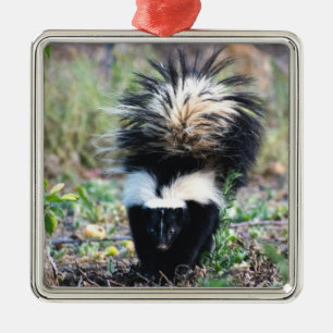 Skunk Black and White Metal Tree Decoration