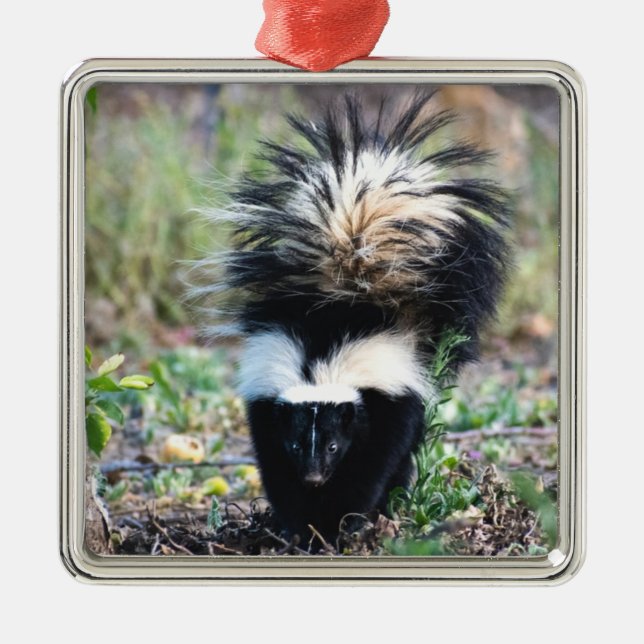 Skunk Black and White Metal Tree Decoration (Front)