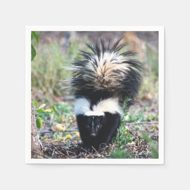 Skunk Black and White Napkin (Front)