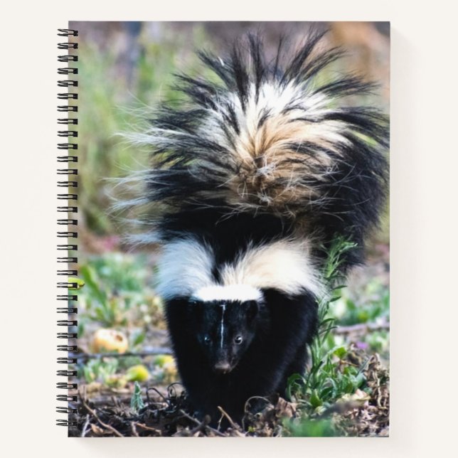 Skunk Black and White Notebook (Front)