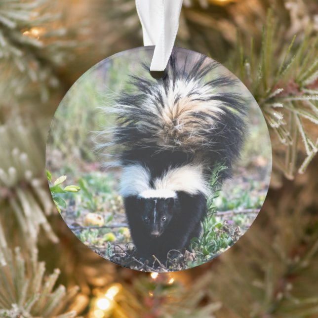 Skunk Black and White Ornament (Tree)