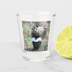 Skunk Black and White Shot Glass