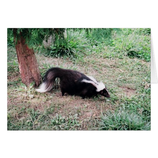 Skunk Card