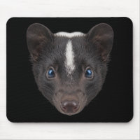 Skunk Face Portrait Cute Blue Eyes |