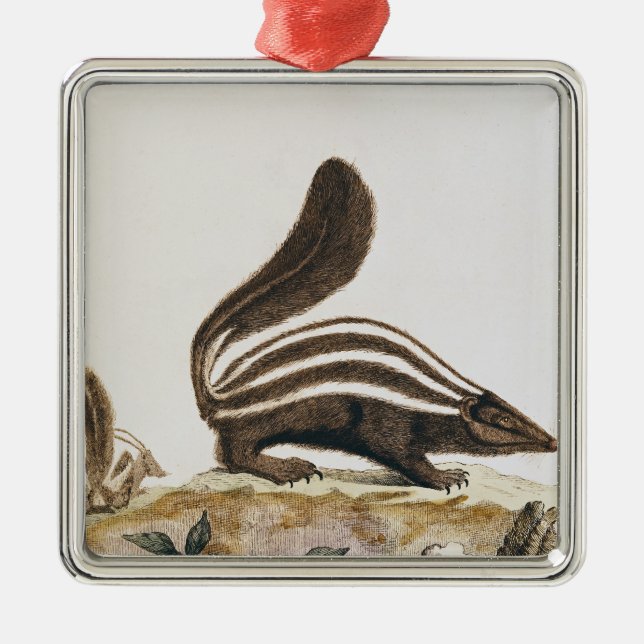 Skunk, from 'Histoire Naturelle' by Metal Tree Decoration (Front)