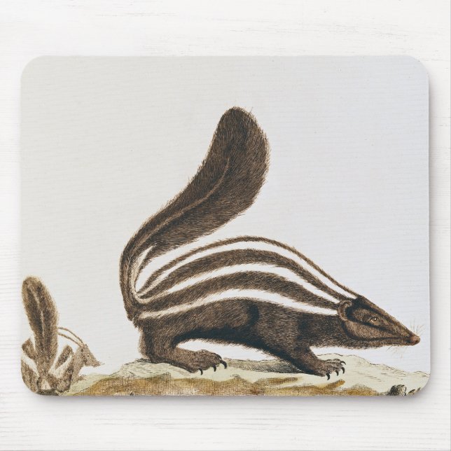 Skunk, from 'Histoire Naturelle' by Mouse Mat (Front)